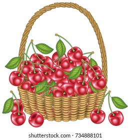 Collected a generous harvest. A basket full of ripe juicy berries. Fresh beautiful red cherry, a source of vitamins and pleasure. Vector illustration.