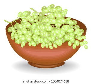 Collected a generous harvest. The bowl is full of ripe juicy berries. Fresh beautiful white grapes, a source of vitamins and pleasure. Vector illustration.