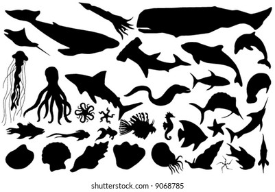 Collected marine life vector silhouettes (more detailed versions also available)