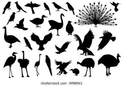 Collected, stylized vector silhouettes of 27 birds (more detailed versions available)