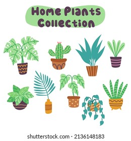 collectible plant pots. Succulents and house plants. hand drawn vector art. Set of indoor house plants vector flat