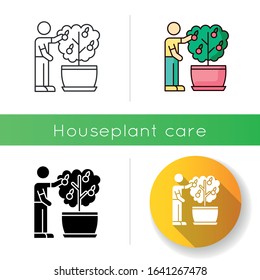 Collecting fruit from mini citrus tree icon. Caring for miniature orange tree. Thriving plant. Fruiting houseplant. Plant cultivation. Linear black and RGB color styles. Isolated vector illustrations