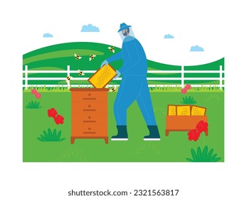 Collecting honey from beehives in an apiary, a farmer wearing body armor, farm vector illustration.