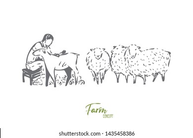 Collecting wool concept sketch. Isolated vector illustration