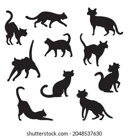 Collection of 10 black Halloween cats on white background - Vector illustration