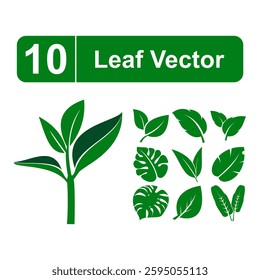 A collection of 10 leaf vectors. The leaf vectors are all green and are arranged in a variety of shapes and sizes