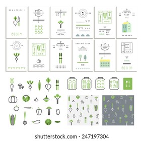 Collection of 12 eco cards. Vegetables. Icons. Two seamless patterns. Vector. Isolated