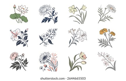 A collection of 12 elegant botanical illustrations featuring diverse floral arrangements and blossoms on white background