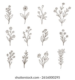 Uma coleção de 12 ilustrações de flores rústicas em arte de linha marrom quente. Desenhado à mão em estilo mínimo, perfeito para logotipos, convites boho, embalagem e marca natural.