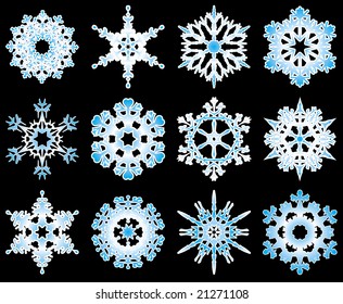 Collection of 12 vector winter snowflakes.
