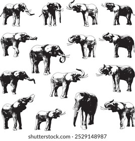 Collection of 15 elephants in front of a white background