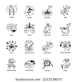 Sammlung von 16 Anatomie und Prüfung Doodle Icons 

