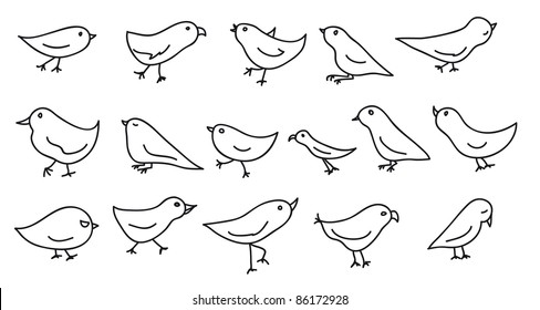 collection of 16 funny birds in vector