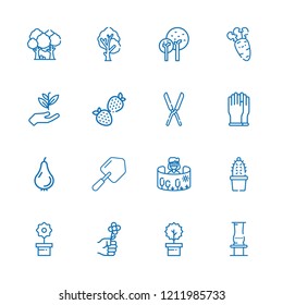 Collection of 16 garden outline icons include icons such as flower, plant, tree, gloves, gardening, field of view, strawberry, shears, cactus, vase, carrot, pear, shovel