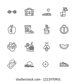 Collection of 16 healthy outline icons include icons such as soap, medicine, bottles, sport shoe, tracker, watermelon, blueberries, hot stones, bee, first aid kit, apple