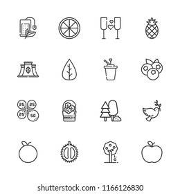 Collection of 16 leaf outline icons include icons such as fruit tree, leaf, tea bag, dove, flowers, eco factory, forest, orange, tangerine, chestnut, apple, pineapple, wine