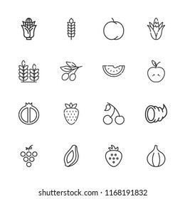 Collection of 16 ripe outline icons include icons such as wheat, peach, watermelon, papaya, strawberry, fig, grape, cherry, apple, olive, corn