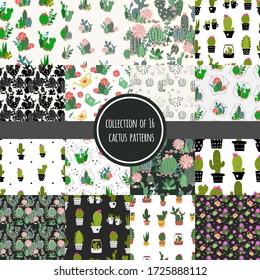 A collection of 16 seamless cactus vector patterns. Graphic flat style. It can be used to create wallpapers, curtains, posters, prints and more.
