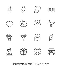Collection of 16 tropical outline icons include icons such as martini, palm tree, aquarium, juice, fruit, plum, orange, margarita, coconut, banana, flip flops, tornado