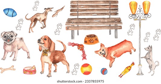 Collection of 17 elements. Dogs of different breeds and their favorite toys are drawn. Suitable for dog walking designs, patterns and other collections