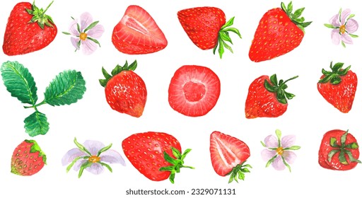 Collection of 17 strawberry elements. Painted with watercolors. You can make designs and patterns yourself.