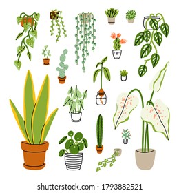 Collection of 18 different exotic home plants isolated on white, vector illustrations