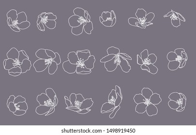 Collection of 18 vector outline flowers of apple trees