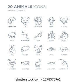 Collection of 20 animals linear icons such as Chameleon, Cat, Alpaca, Anteater, Antelope, Buffalo, Beetle, Bear, Bee line icons with thin line stroke, vector illustration of trendy icon set.