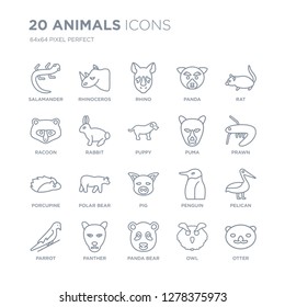 Collection of 20 animals linear icons such as salamander, Rhinoceros, Panda bear, Panther, Parrot, Rat, puma, Pig, porcupine line icons with thin line stroke, vector illustration of trendy icon set.