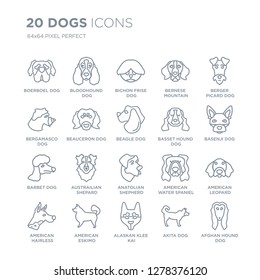 Collection of 20 dogs linear icons such as Boerboel dog, Bloodhound Alaskan Klee Kai American Eskimo Dog dog line icons with thin line stroke, vector illustration of trendy icon set.