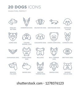 Collection of 20 dogs linear icons such as English Setters dog, Doberman Boston Terrier Boxer dog line icons with thin line stroke, vector illustration of trendy icon set.