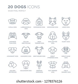 Collection of 20 dogs linear icons such as Vizsla dog, Labradoodle German Shepards Goldador dog line icons with thin line stroke, vector illustration of trendy icon set.