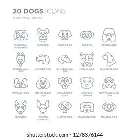 Collection of 20 dogs linear icons such as Rhodesian Ridgeback dog, Pumi Mastiff Mexican Hairless Dog Mudi dog line icons with thin line stroke, vector illustration of trendy icon set.