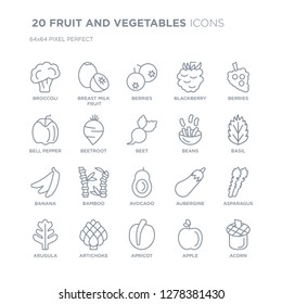 Collection of 20 FRUIT AND VEGETABLES linear icons such as Broccoli, Breast milk fruit, Apricot, Artichoke, Arugula, Berries line icons with thin line stroke, vector illustration of trendy icon set.
