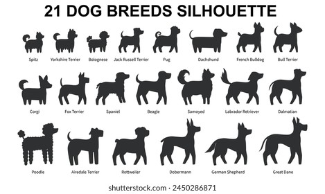 Collection of 21 Dog Breeds silhouette. Side view. Vector illustration isolated on white background