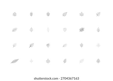 una colección de 24 dibujos de líneas Pequeñas individuales de varias Formas de hojas. Están dispuestas en un patrón de cuadrícula