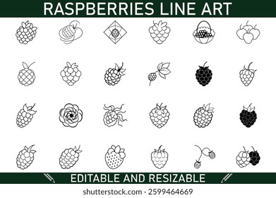 Collection of 24 line art raspberry illustrations. Includes various styles, from simple to detailed, perfect for design projects. Editable and resizable vectors.