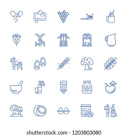 Collection of 25 healthy outline icons include icons such as jug, bicycle, mortar, medicine, bottles, shoes, medicines, coconut, mask, hot stones, smoothie, dispenser, branch