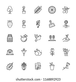 Collection of 25 leaf outline icons include icons such as green energy, tea bag, sprout, eco factory, orange, syrup, birch, flower, rose, branch, tree, dove, coconut, olive