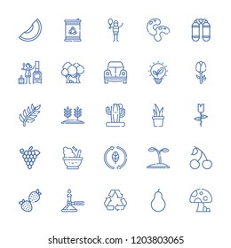 Collection of 25 natural outline icons include icons such as tulip, tennis court, burner, recycling, leaf, barrel, beetle, oxygen, pear, melon, cherry, stove, strawberry