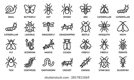 Collection of 30 high-quality insect thin line icons. each icon is designed to be visually appealing and easily recognizable, representing various common insects. concepts, symbols, illustrations, vectors, web banner, for your web site, print, app. creative outline icon.