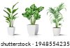 plants vector