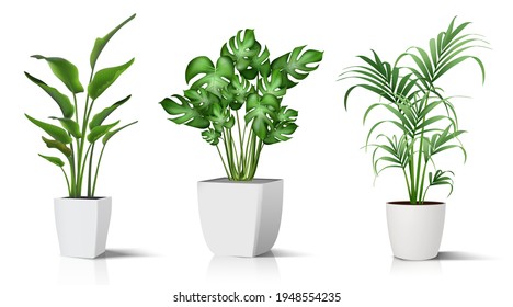 Collection 3d realistic vector icon illustration potted plants for the interior  Isolated white background 