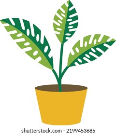 Collection of 3d realistic vector icon illustration potted plants for the interior. Isolated on white background.
