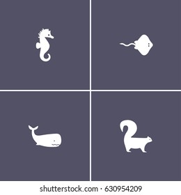collection of 4 animal icons