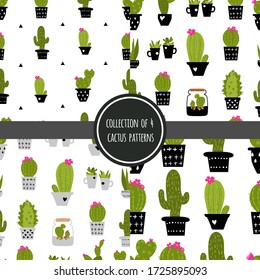 A collection of 4 seamless cactus vector patterns. Sweet, baby. Graphic flat style. It can be used to create wallpapers, curtains, posters, prints and more.