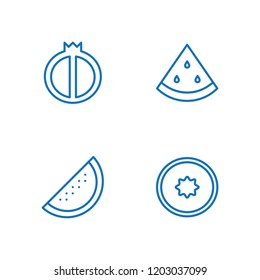 Collection of 4 seeds outline icons include icons such as watermelon