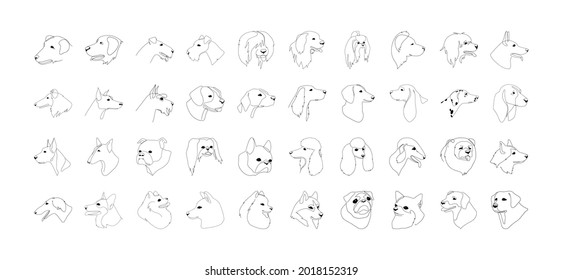 Collection of 40 isolated vector portraits of dogs, different breeds, line art style