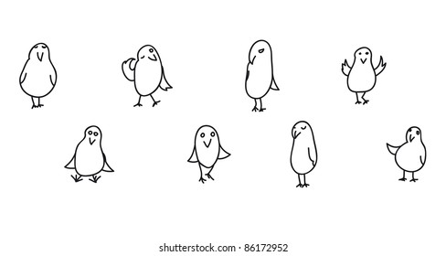 collection of 8 funny birds in vector
