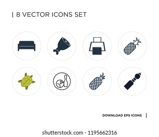 Collection of 8 simple icons such as Bladder pipe, Pineapple, Bowling, Turtle, Hoop, Meat, Sofa, universal set for web and mobile